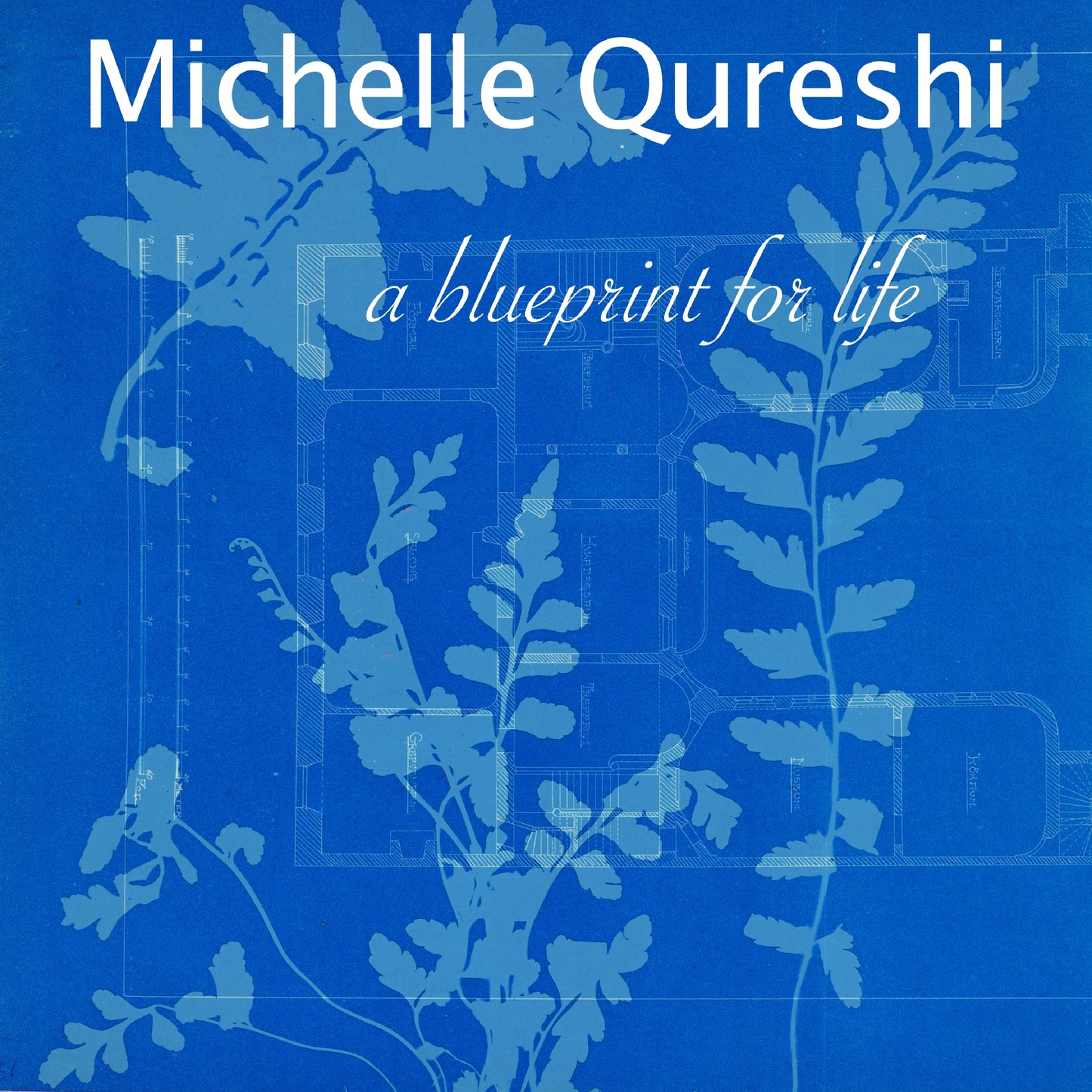 Elevations by Michelle Qureshi