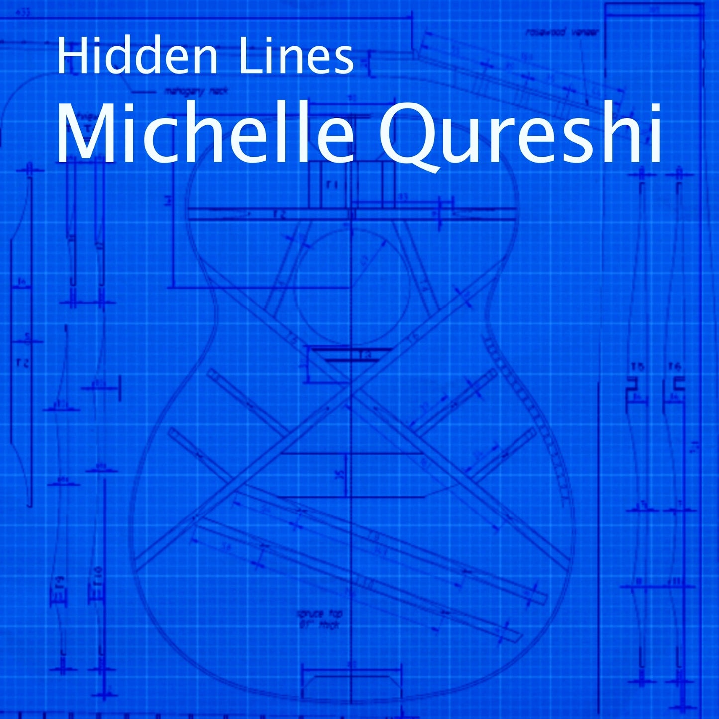Hidden Lines by Michelle Qureshi