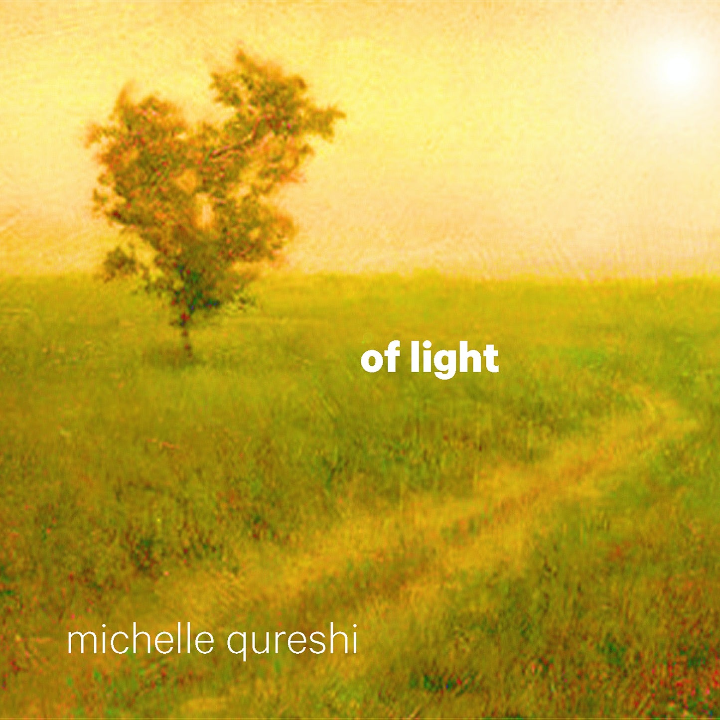 Awakening Light by Michelle Qureshi