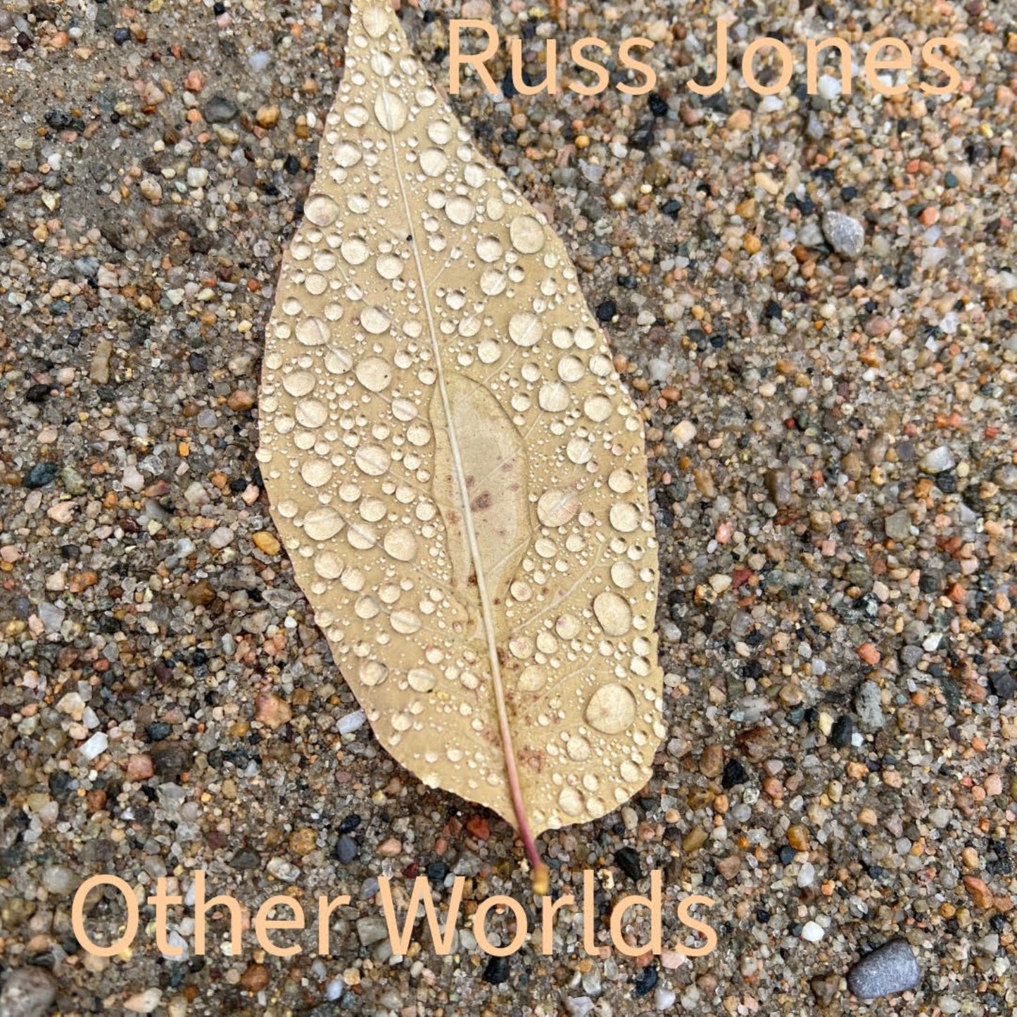 Other Worlds by Russ Jones