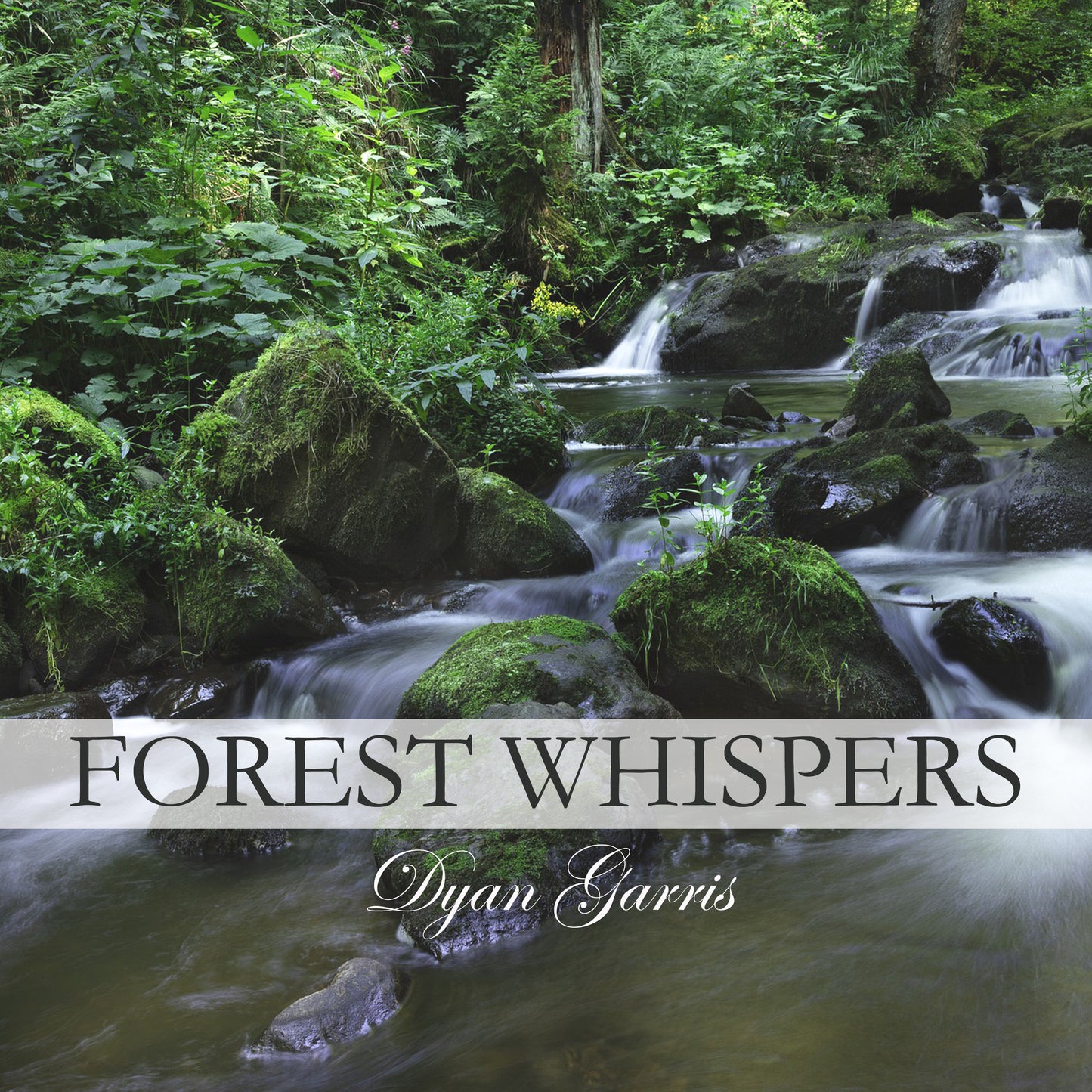 Forest Whispers by Dyan Garris