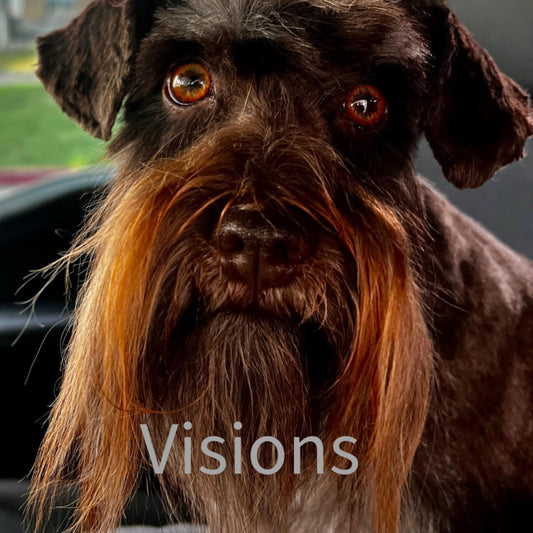 Visions by Russ Jones